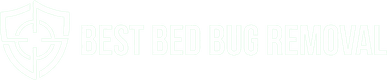 Best Bedbugremoval